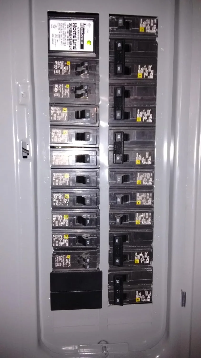 Customer review photo for Why a Power Strip Is Not Surge Protection: What I Install Instead