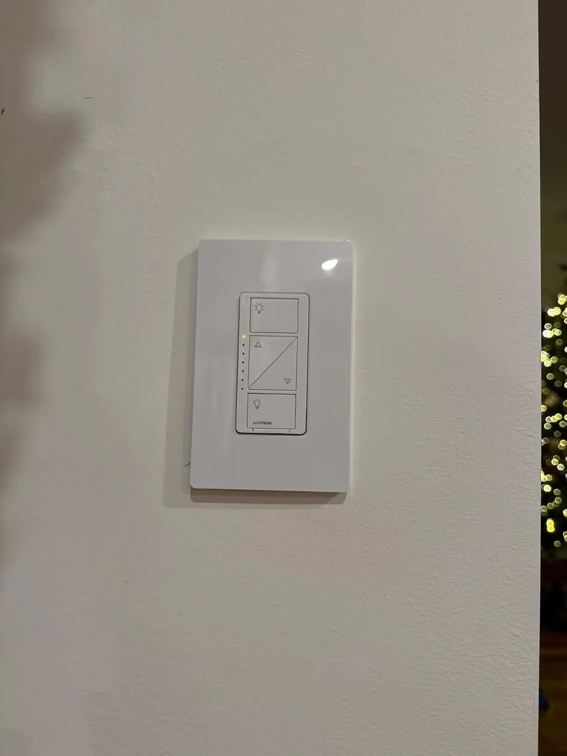 Customer review photo for Smart Dimmers That Actually Work With LED Bulbs