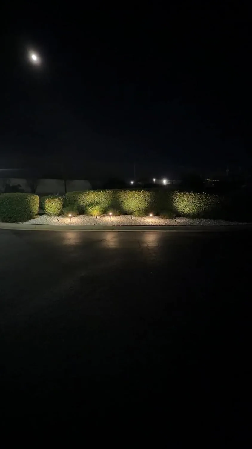 Customer photo of low-voltage landscape lighting fixtures installed along a garden pathway at dusk